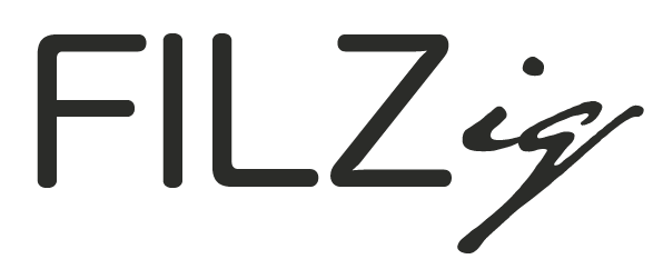 FILZig Logo